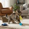 Ensemble de Jouets pour Chat Stitch – Disney Officiel