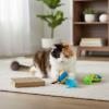 Ensemble de Jouets pour Chat Toy Story – Disney Pixar Officiel