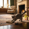 Set de jouets pour chat Harry Potter Cerdá – photo 7
