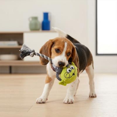 Beagle tenant l'extraterrestre vert dans la gueule