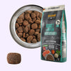 Adult GF Ocean – Croquettes sans céréales au saumon pour chien adulte