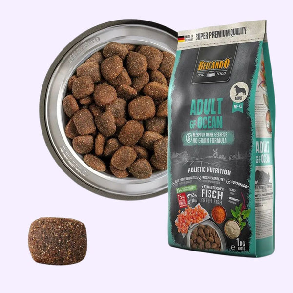 Adult GF Ocean – Croquettes sans céréales au saumon pour chien adulte