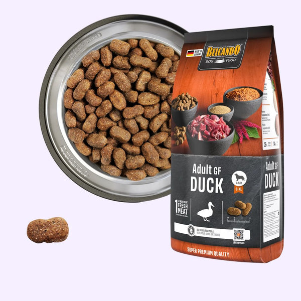 Adult GF Duck – Croquettes sans céréales au canard pour chien adulte