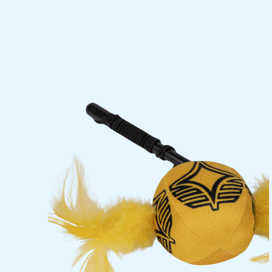 Canne à pêche pour chat Vif d'or Harry Potter – Cerdá
