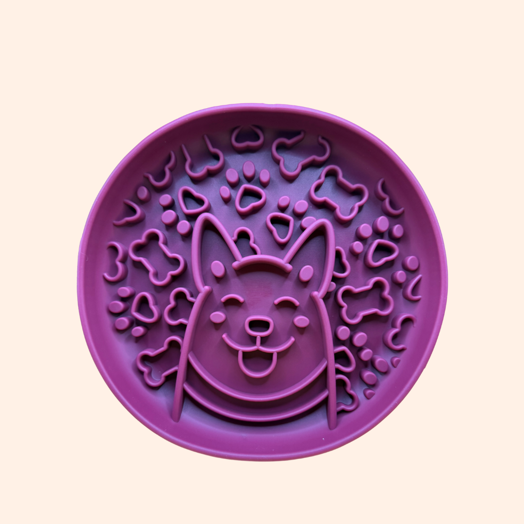 Gamelle anti-glouton pour chien Corgi