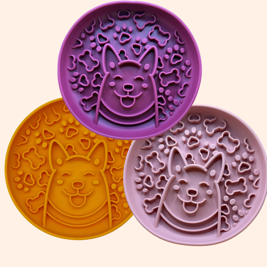 Gamelle anti-glouton pour chien Corgi