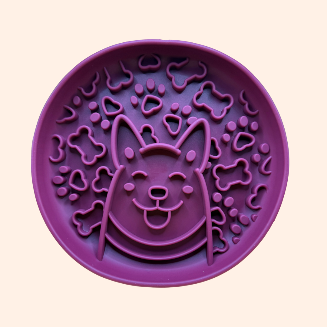 Gamelle anti-glouton pour chien Corgi