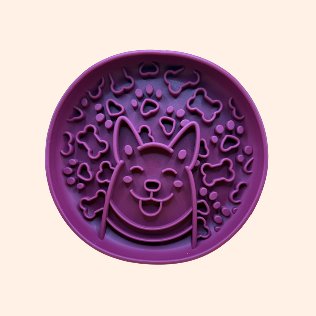 Gamelle anti-glouton pour chien Corgi