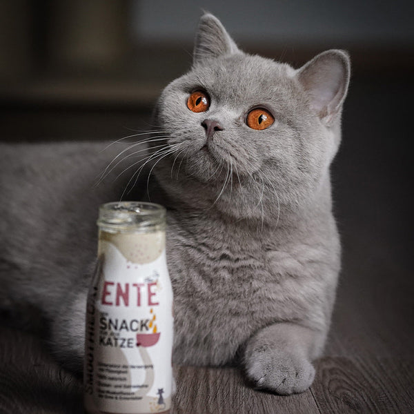 Smoothie pour chat au canard SmoothieCat – SmoothieDog – photo 6