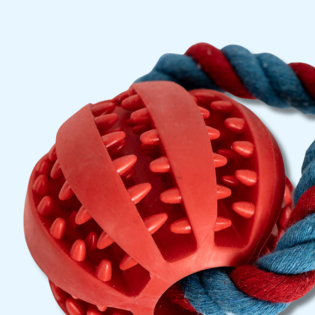 Gros plan sur la balle rouge à picots et la corde tressée
