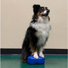 Lot de 2 Mini Plate-formes d’Équilibre FitPAWS® - précommande