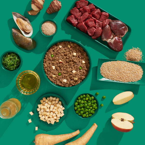 Venaison & Dinde Senior – Repas complet premium pour chien âgé
