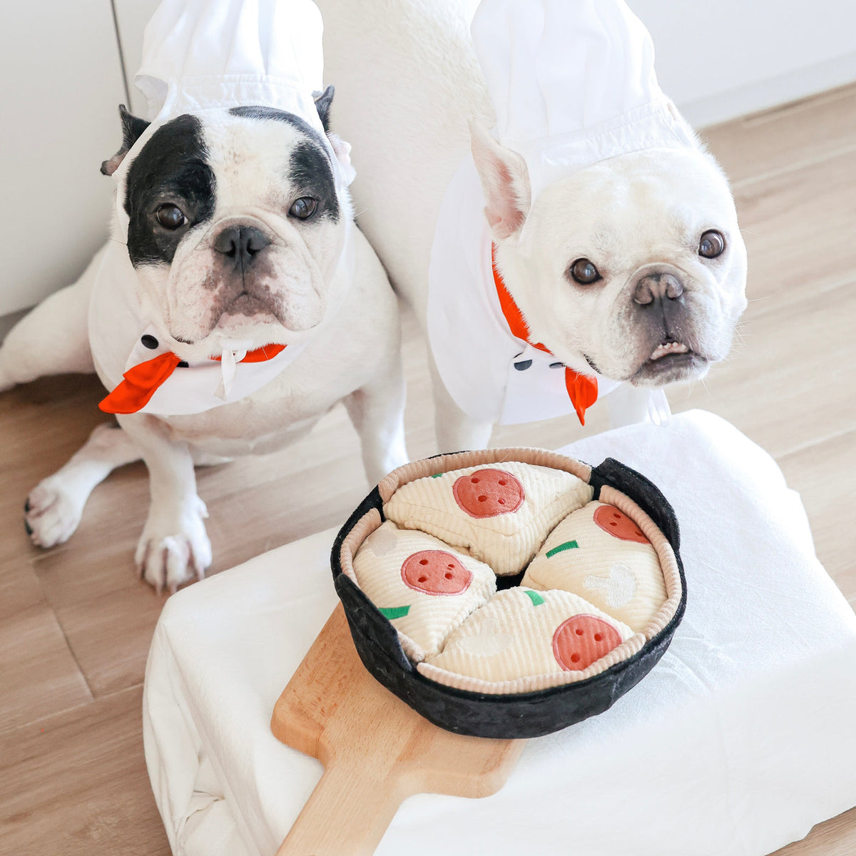 Deux bouledogues français en toque devant la poêle à pizza