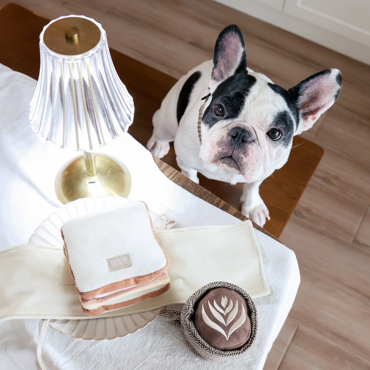 Bouledogue vu d'en haut près du sandwich posé sur la table