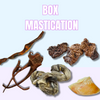 BOX MASTICATION