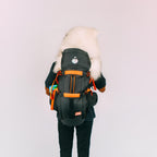 Samoyède blanc installé dans le sac, vu de dos