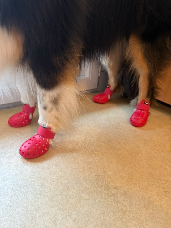 Gros plan de bottines rouges portées à l'intérieur