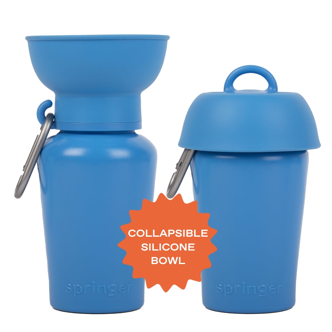 Gourde pour chien avec bol pliable 59 cl – Springer