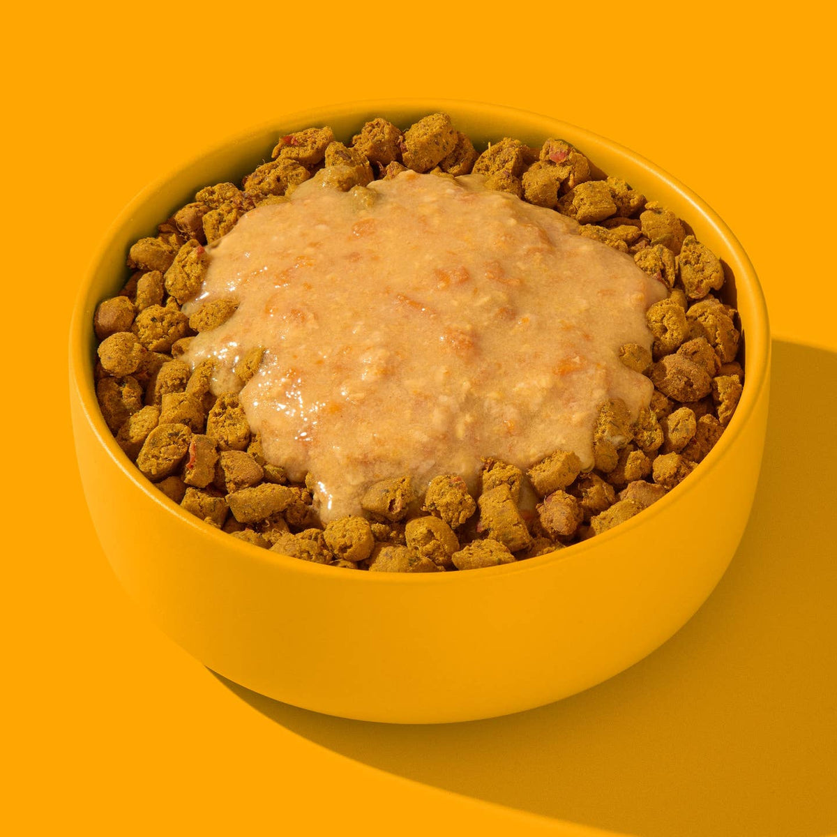 Gamelle jaune de croquettes nappées de smoothie