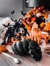 Box Halloween pour chien – Edition limitée 🎃 VERSION Luxe