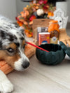 Gamelle Citrouille pour chien – Anti-glouton, jouet à garnir & tapis de léchage