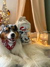 Hotte de Noël pour Chien – 🎄