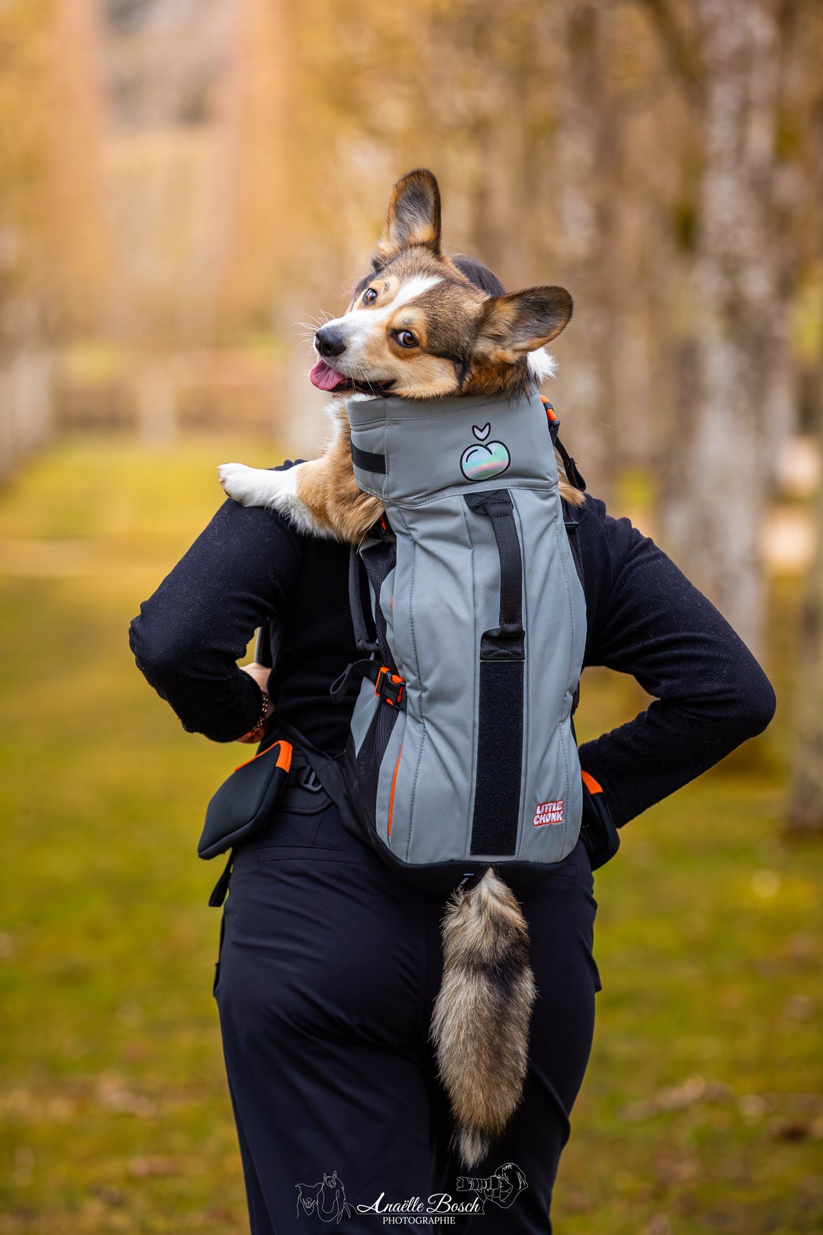 Personne de dos portant un chien dans le sac gris