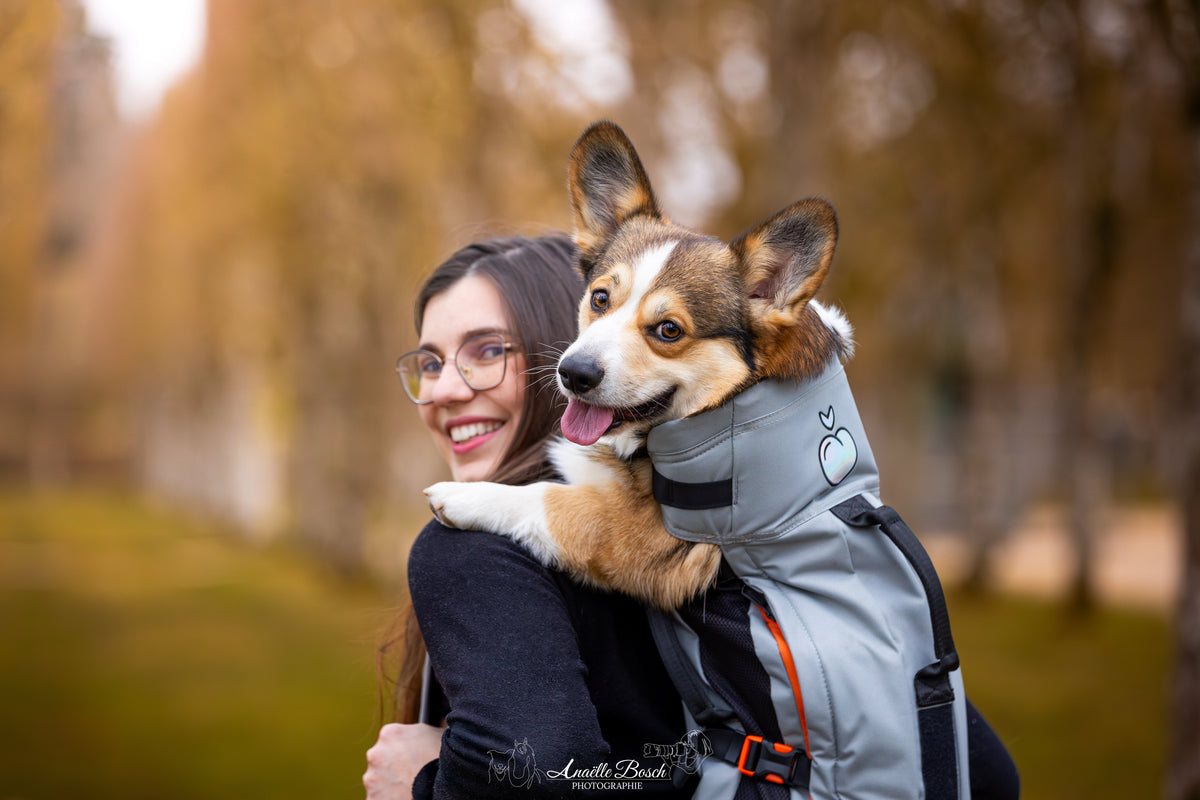 Femme serrant son chien porté dans le sac en forêt