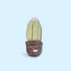 Peluche de fouille-cactus