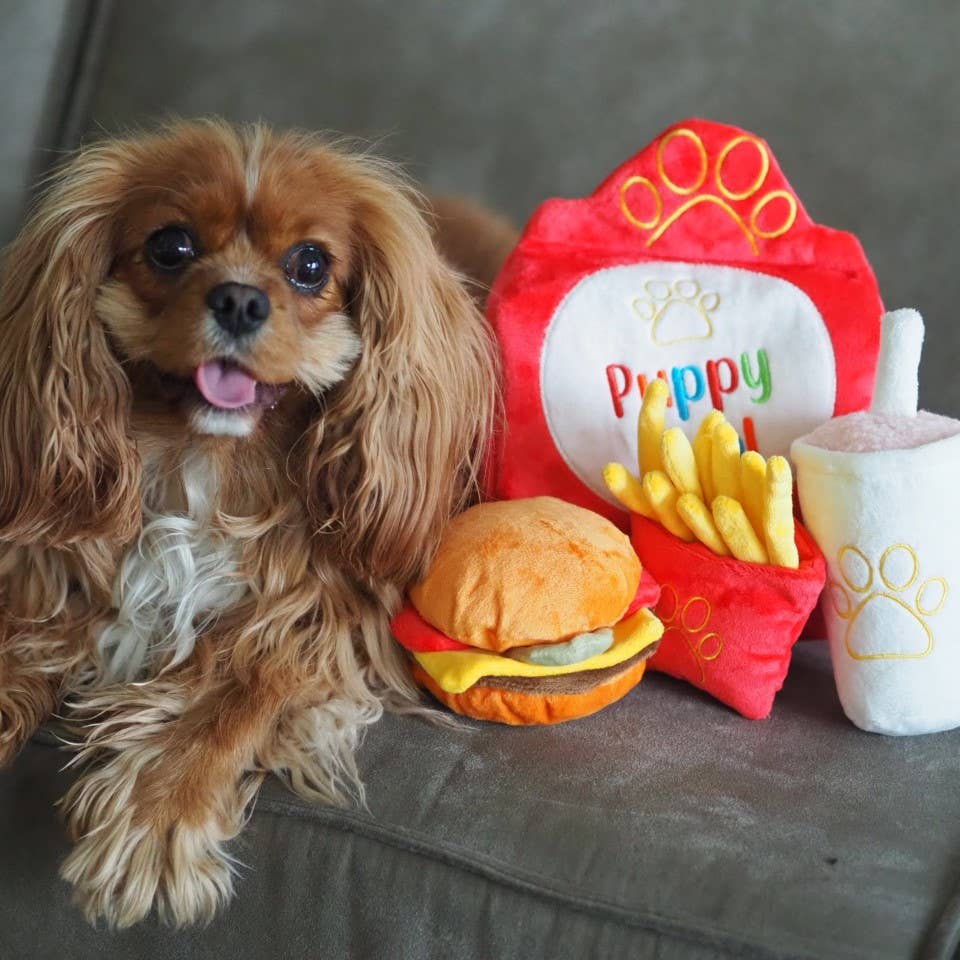 Cavalier king charles sur un canapé avec burger, frites et boisson