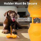 Labrador couché qui mâche un bâtonnet tenu dans le support Chewise