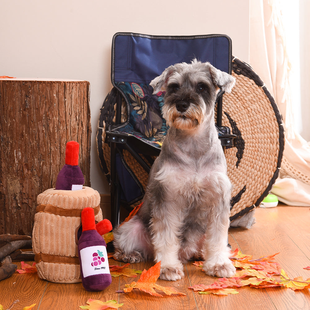 Schnauzer gris assis près du fût et des bouteilles