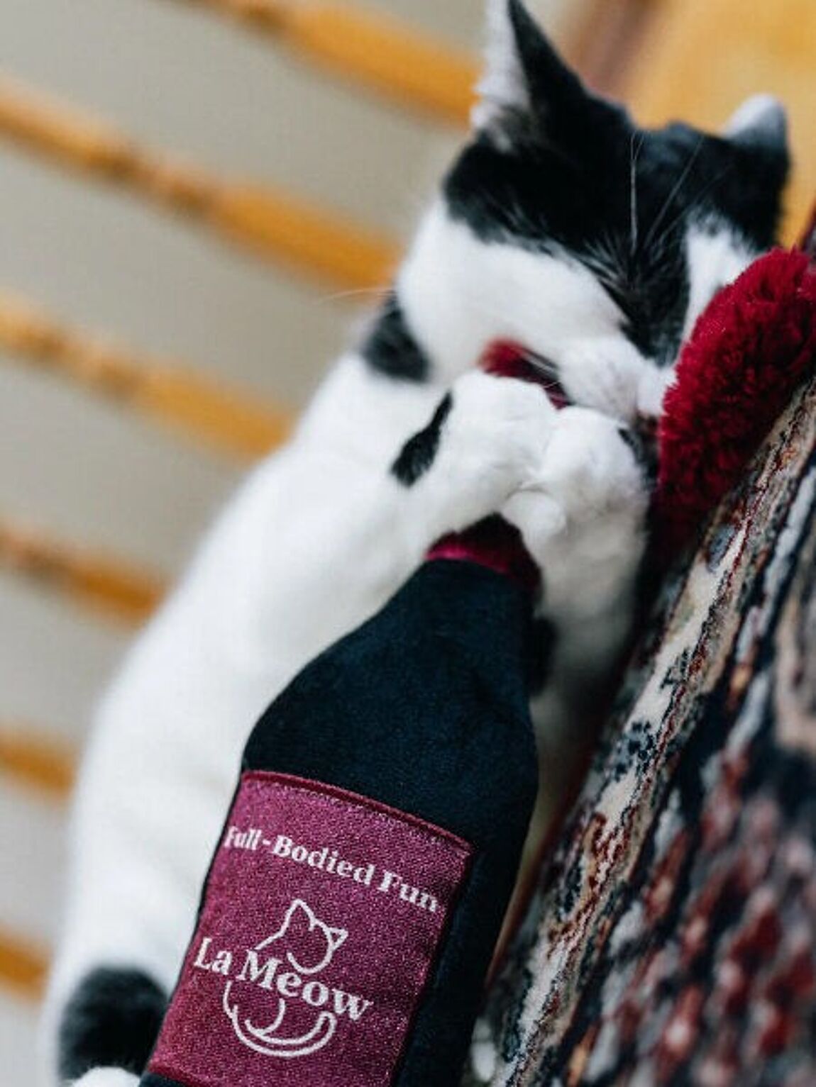 Chat noir et blanc agrippant la bouteille en peluche
