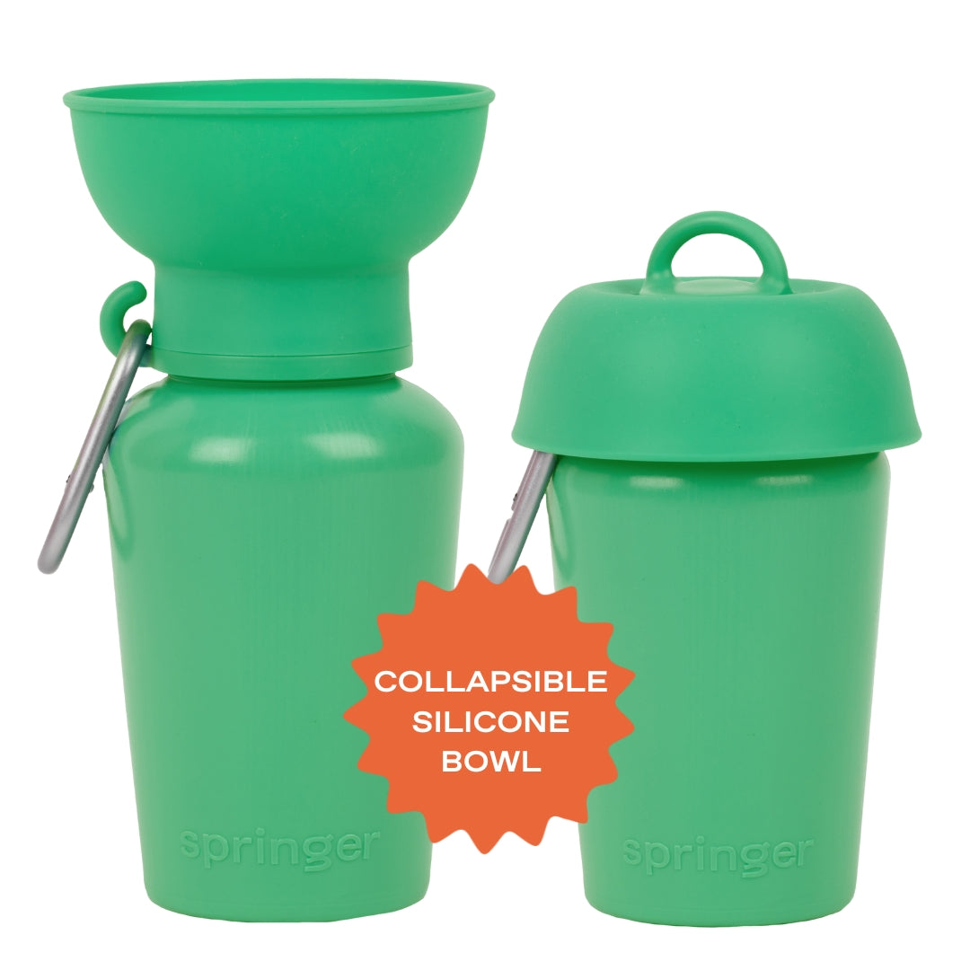 Gourde pour chien avec bol pliable 59 cl – Springer