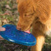 Jouet - Frisbee Congelable