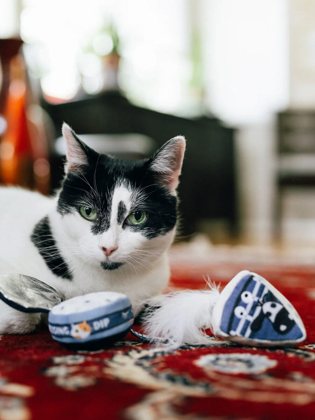 Chat noir et blanc allongé près des jouets sur tapis rouge