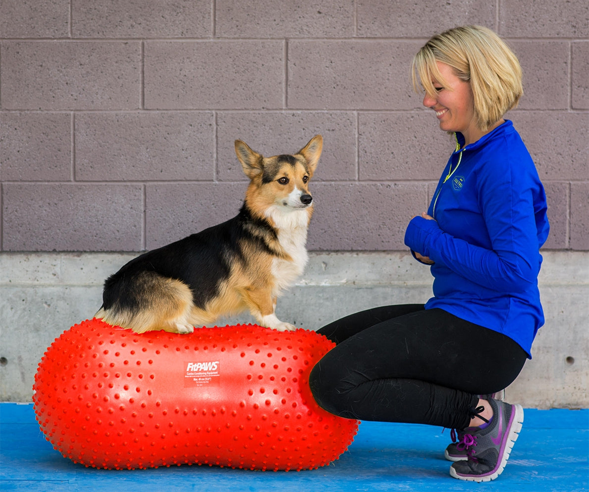 Ballon d'équilibre pour chien TRAX Peanut – FitPAWS