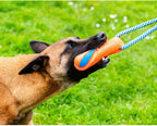 Berger malinois mordant le boudin orange dans l'herbe