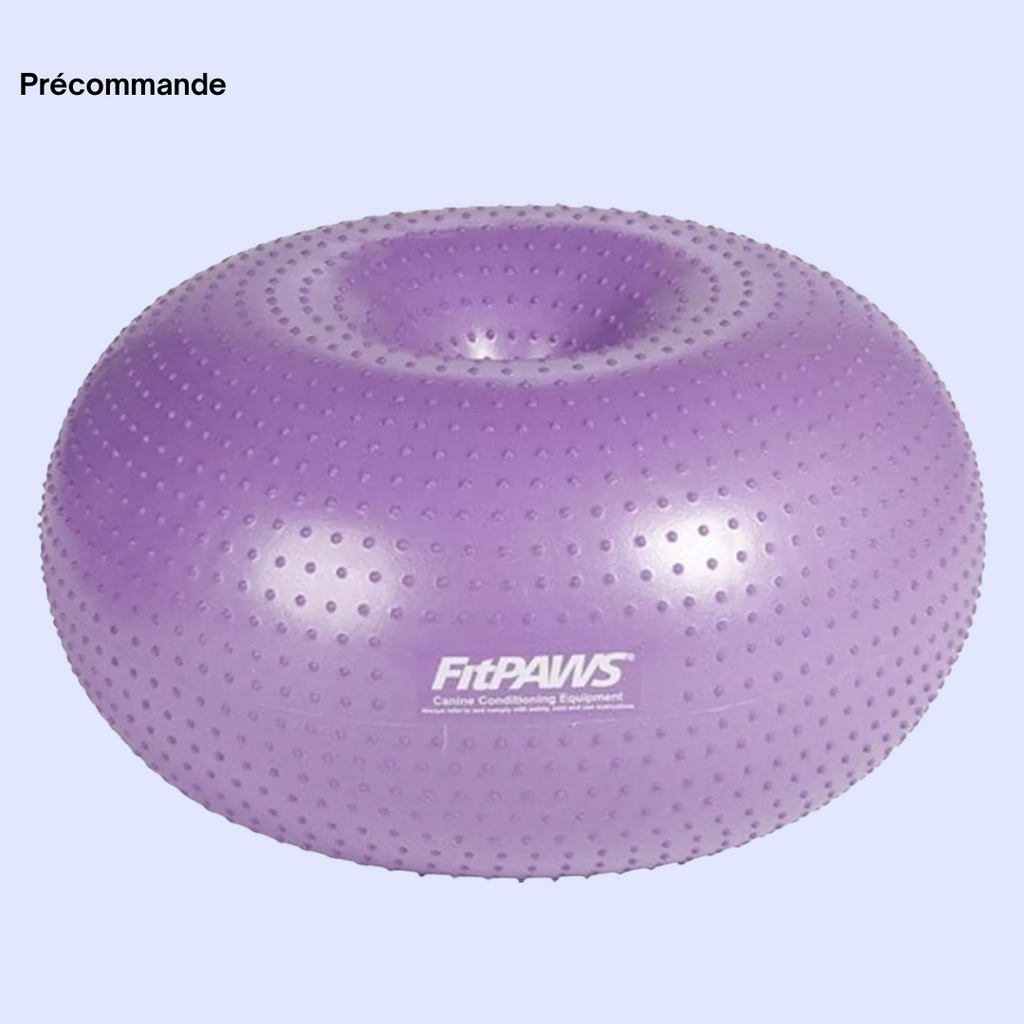 Balle d'équilibre pour chien TRAX Donut – FitPAWS