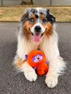 Peluche surprise pour chien Labau Monsterz – Ferribiella