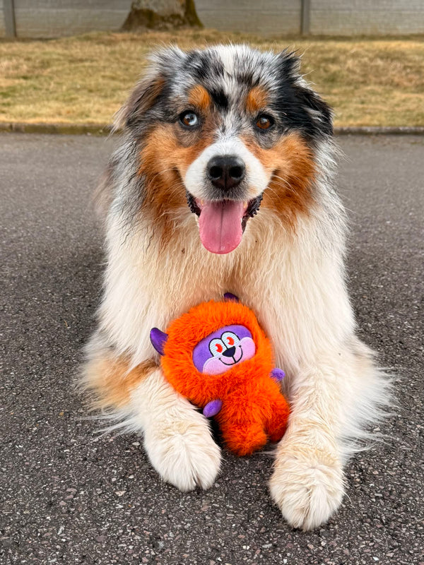 Peluche surprise pour chien Labau Monsterz – Ferribiella