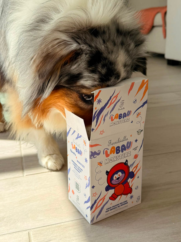 Peluche surprise pour chien Labau Monsterz – Ferribiella