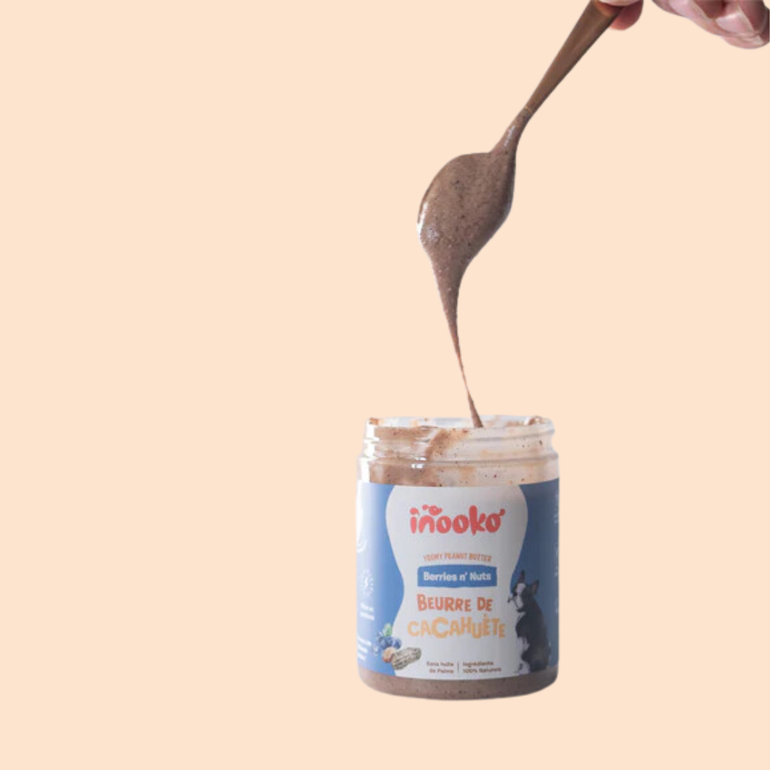 Beurre de cacahuète myrtille & fraise pour chien – inooko