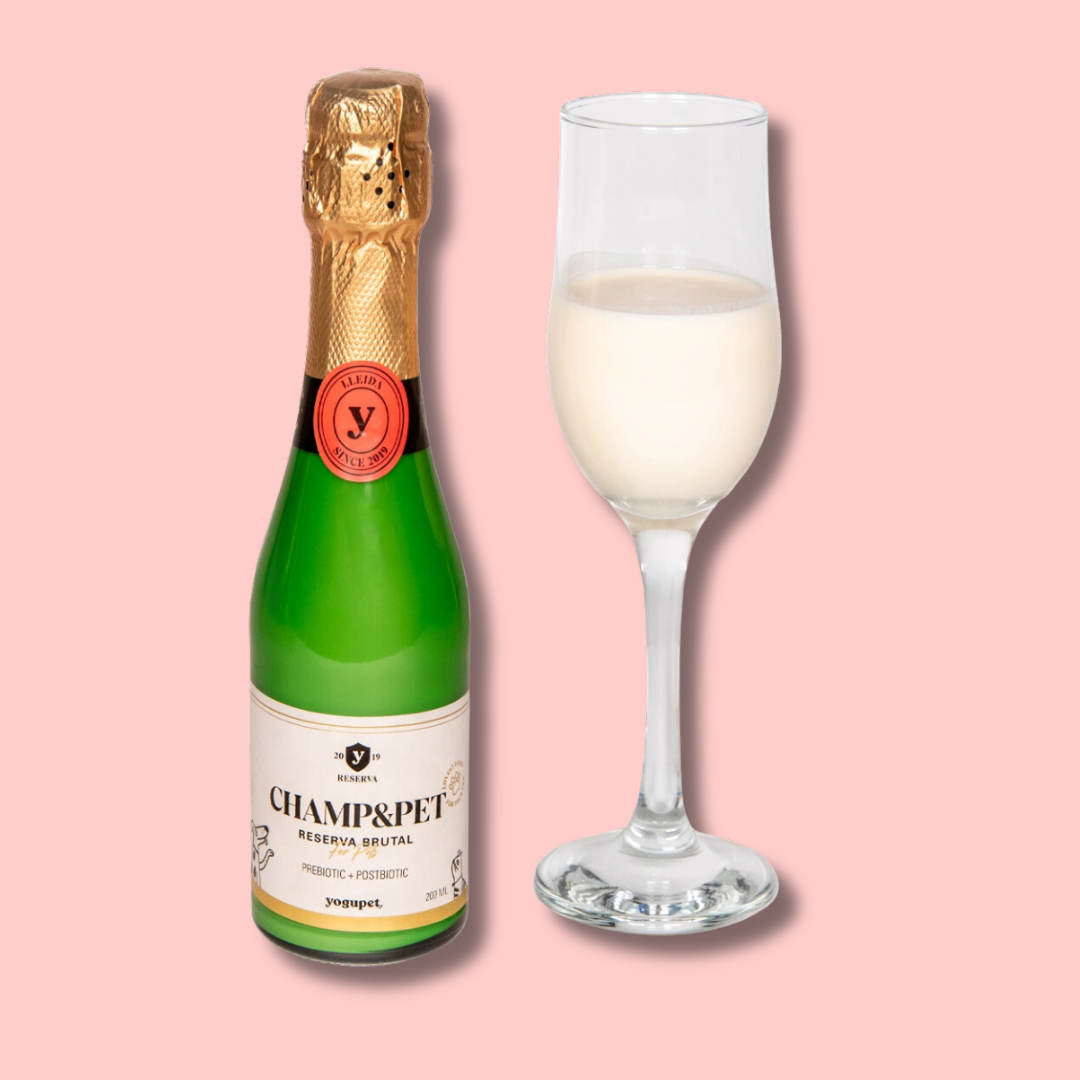 Boisson au kéfir de chèvre pour chien & chat – Yogupet
