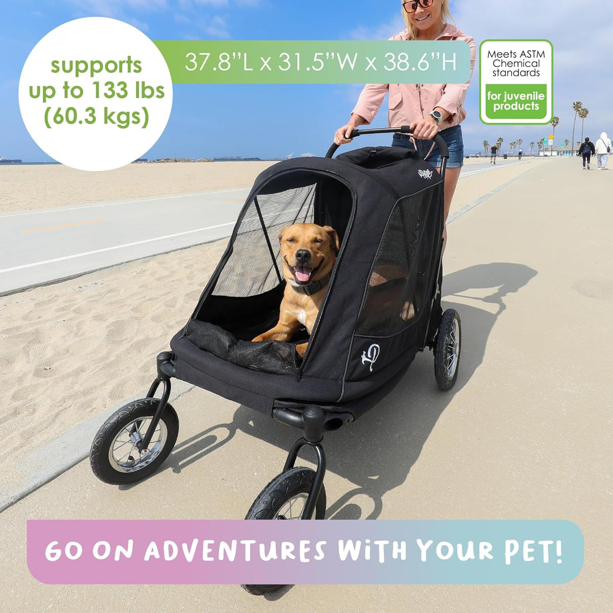 Chien assis dans la nacelle poussée sur la plage