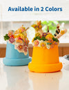 Chewise Freeze Bowls — Standard (bol 1 tasse)
