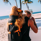 Chien roux porté dans le sac au bord de la plage