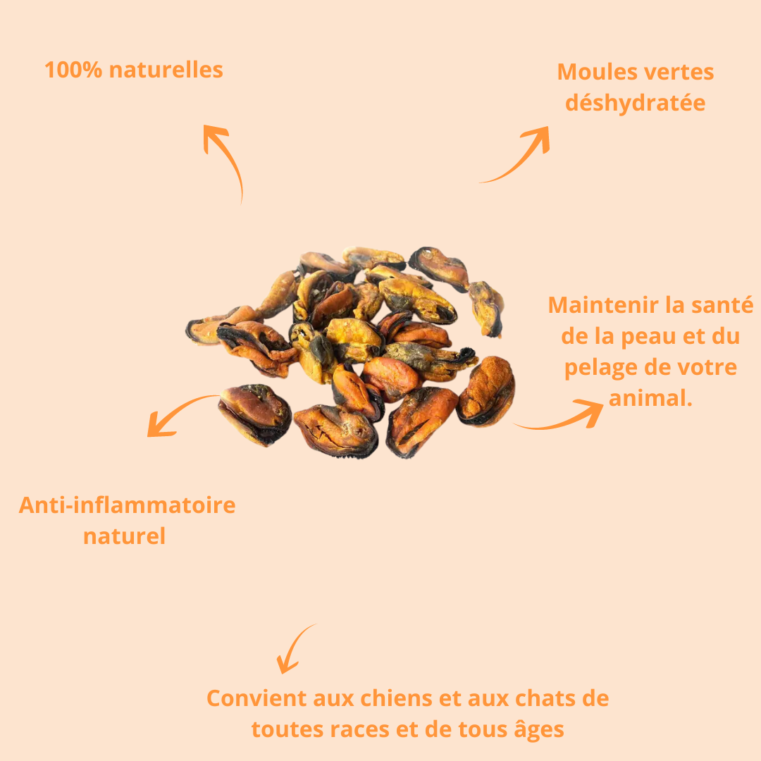 Moules à lèvres vertes séchées pour chien & chat – 100 g