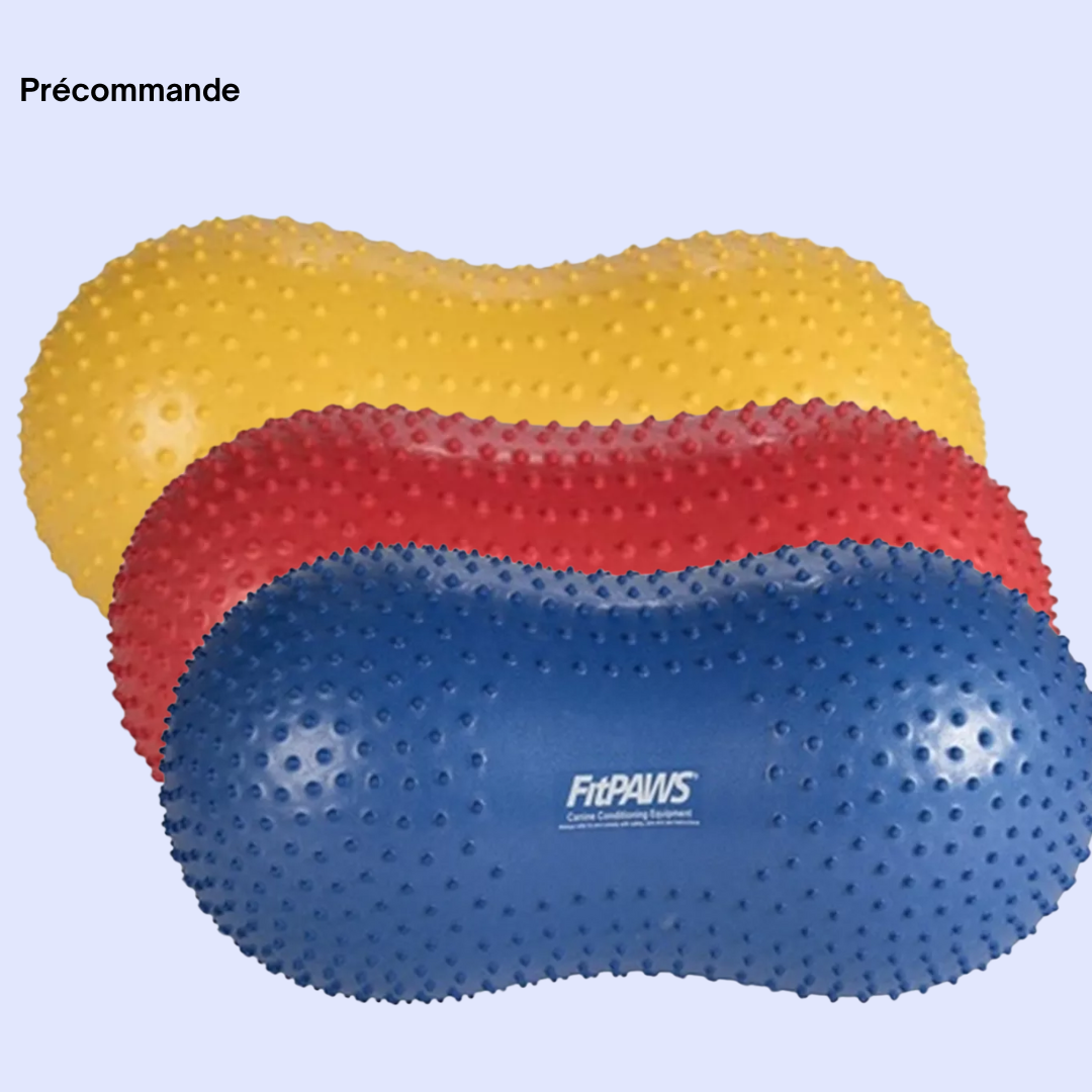 Ballon d'équilibre pour chien TRAX Peanut – FitPAWS