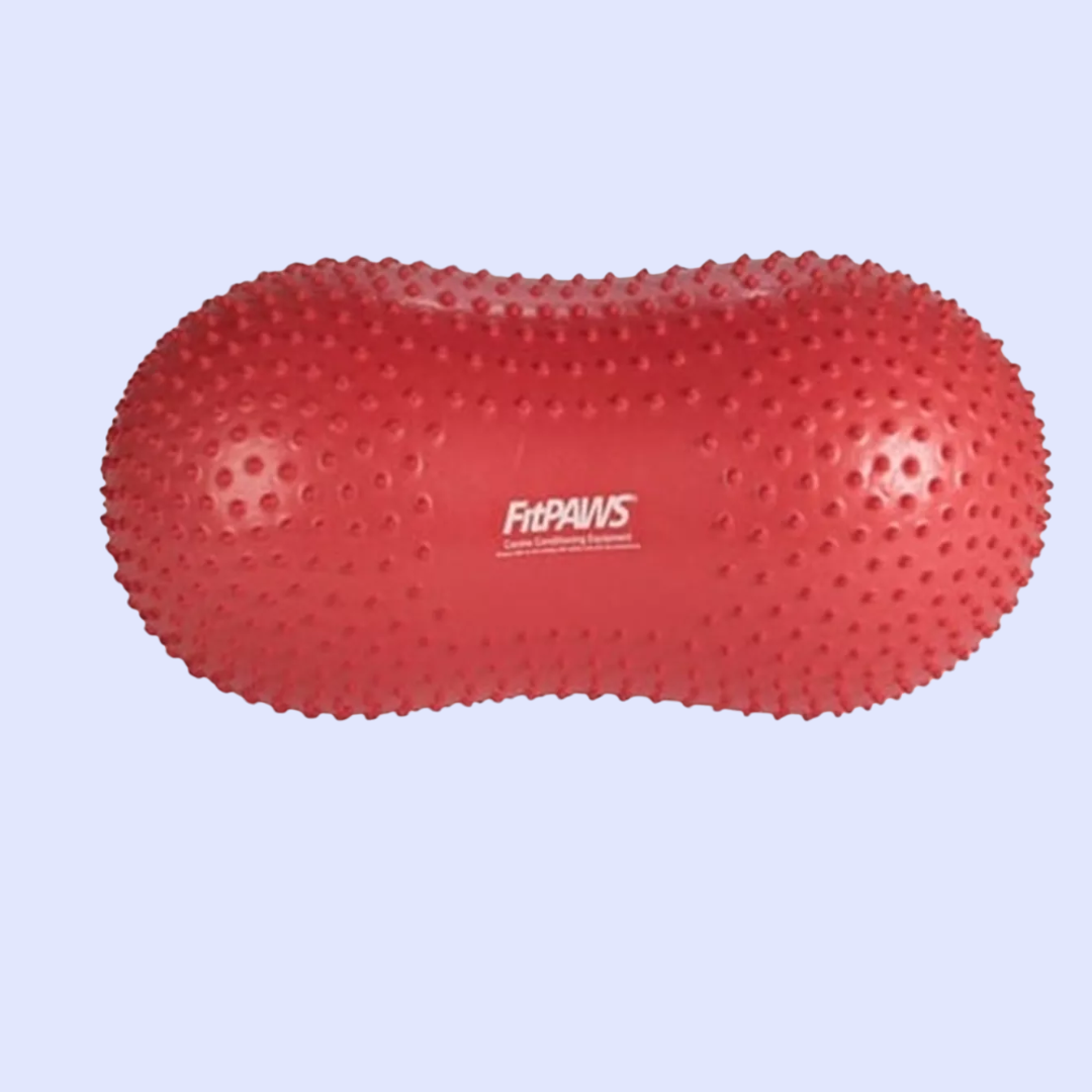 Ballon d'équilibre pour chien TRAX Peanut – FitPAWS